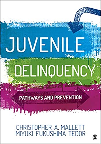 Juvenile Delinquency 1st Edition Test Bank
