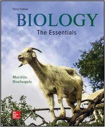 Test Bank | Biology The Essentials 3e by Hoefnagels